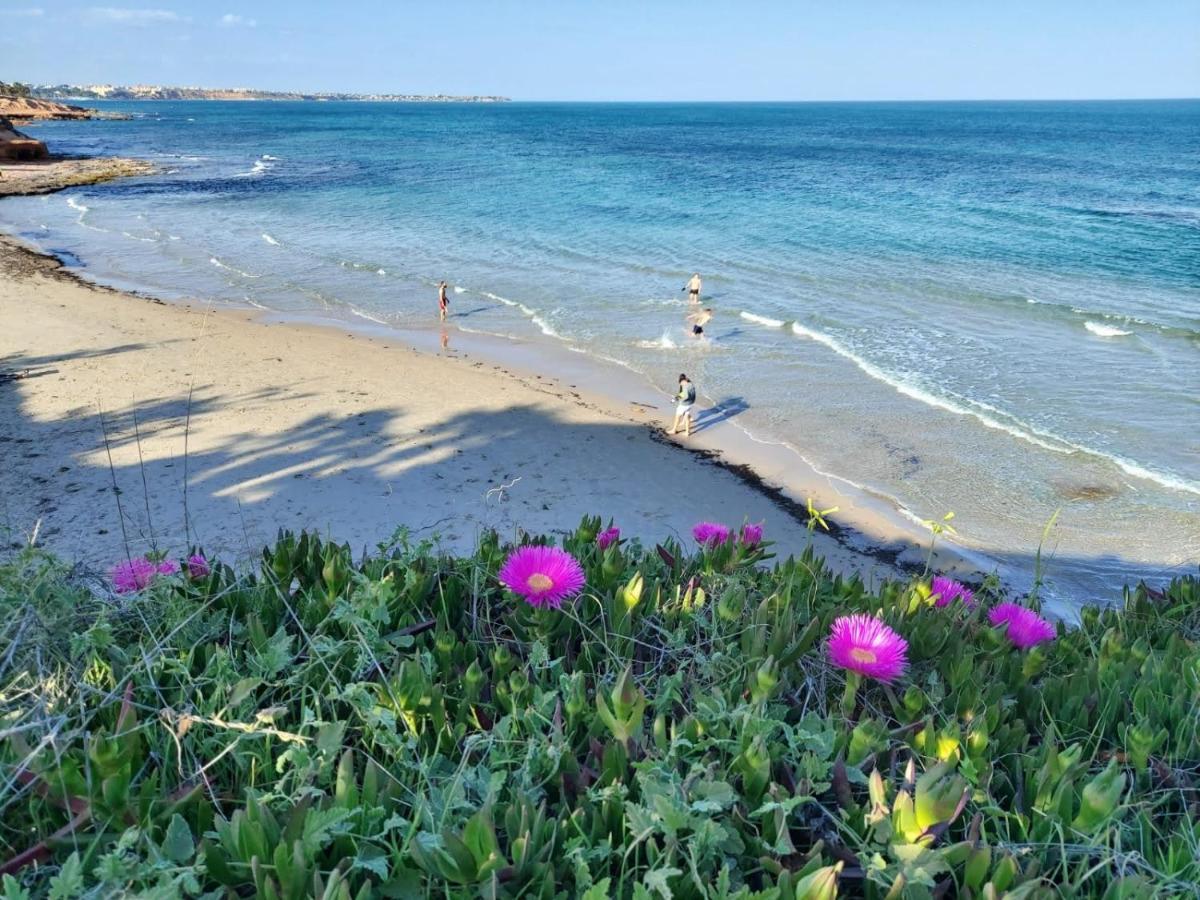 Apartamento Del Nino Campoamor Exteriör bild